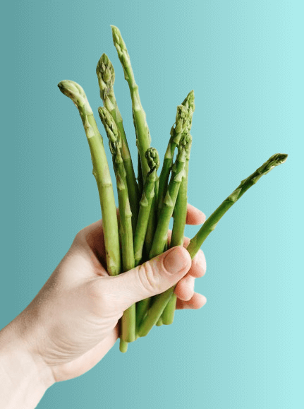In this example, we apply a linear gradient fill to the alpha pixels of a PNG of a hand holding asparagus. We eliminate the transparent pixels around the asparagus, creating a smooth color transition from pale-turquoise on the left to azure on the right side of the PNG. This operation overwrites the alpha channel information and the output PNG is fully opaque. (Source: Pexels.)