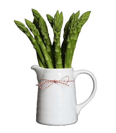 In this example, we remove unnecessary empty space around the asparagus in a vase. Empty space does not provide any useful information and visually reduces the object. Therefore, we use the preview to crop 254 pixels from the left, 226 pixels from the right, 105 pixels from the top, and 102 pixels from the bottom. (Source: Pexels.)