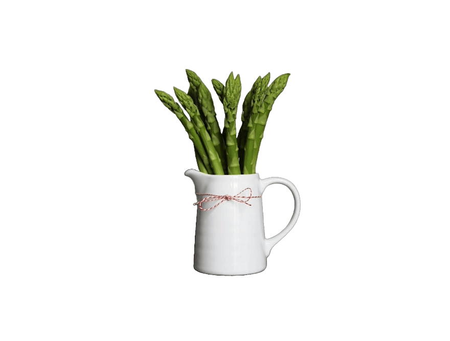 In this example, we remove unnecessary empty space around the asparagus in a vase. Empty space does not provide any useful information and visually reduces the object. Therefore, we use the preview to crop 254 pixels from the left, 226 pixels from the right, 105 pixels from the top, and 102 pixels from the bottom. (Source: Pexels.)