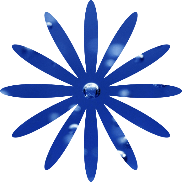 In this example, we create decorative petals from a PNG image of water bubbles. We define a crop area of 580 by 580 pixels and set the focus on the central bubble in the image. To make the crop look like petals, we apply a high wave amplitude of 0.8, which results in very prominent and deep curves. In total, we generate 12 petals. (Source: Pexels.)