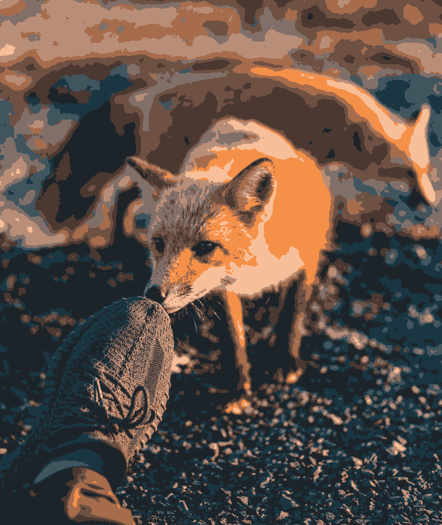 In this example, we apply the color quantization algorithm to a PNG image of a brown fox. Our algorithm uses the k-means method and here we set "k" parameter (the number of colors) to 10. In the output, we get a PNG that is the best approximation of the original image with just ten colors in the color palette. (Source: Pexels.)