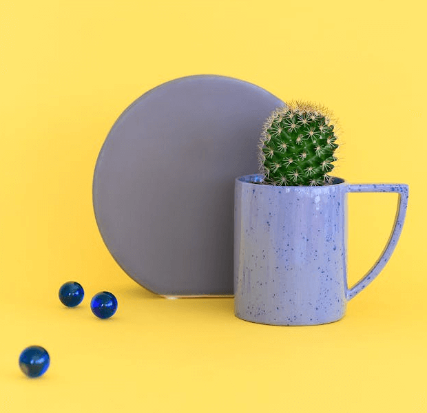 In this example, we remove the excess free space around the central object within the PNG. We cut 140 pixels from the left and right sides, 200 pixels from the top, and 100 pixels from the bottom. As a result, we get a focused PNG with a visually larger image of the cactus in a ceramic mug. (Source: Pexels.)