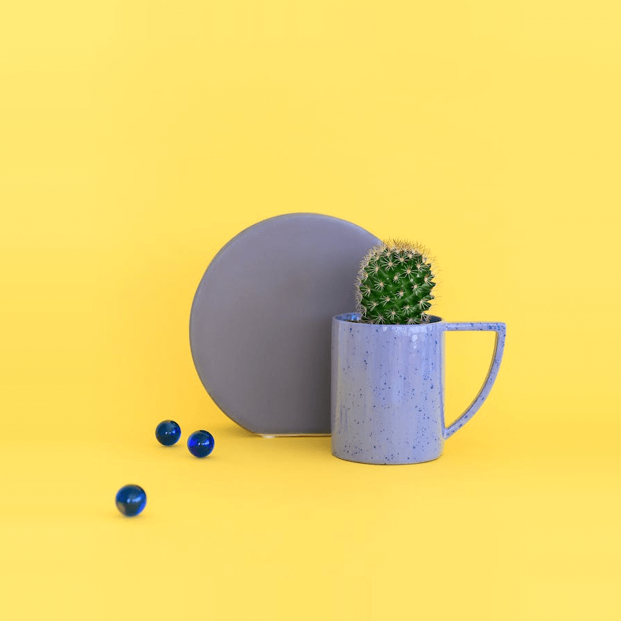 In this example, we remove the excess free space around the central object within the PNG. We cut 140 pixels from the left and right sides, 200 pixels from the top, and 100 pixels from the bottom. As a result, we get a focused PNG with a visually larger image of the cactus in a ceramic mug. (Source: Pexels.)