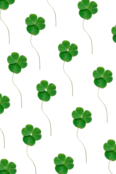 In this example, we create a stencil with custom colors from a PNG image of clover leaves. We choose a green stencil color and a yellow-green background color. The resulting stencil showcases vibrant green clover leaf shapes on a soft green background making it perfect for creating decorations or festive designs. (Source: Pexels.)