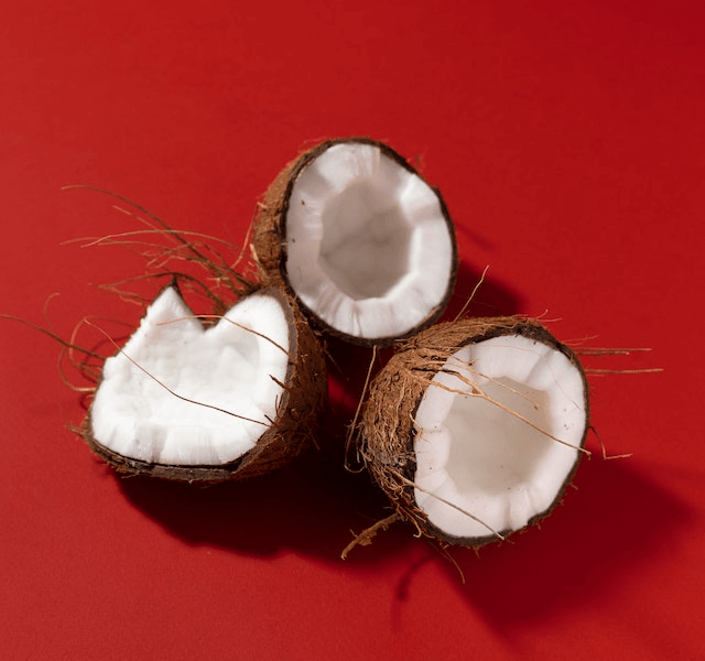In this example, we apply dithering to a multi-color PNG image of coconuts on a red background and convert it to a 4-color tone PNG. We choose the Stucki algorithm and get a surprisingly accurate approximation of the original image. (Source: Pexels.)