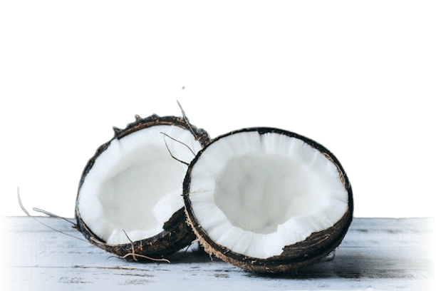 In this example, we select the transparency sort mode and apply it on a PNG sticker of a coconut, which has a transparent background and several translucent gradient areas. To do the sorting, we first add a pixelation effect to the sticker by setting the pixel size to 4, and then we enable the individual column sort function in increasing order. This way, parts of the sticker, which have minimal transparency, are moved to the top, and pixels with maximum transparency are moved to the bottom. (Source: Pexels.)