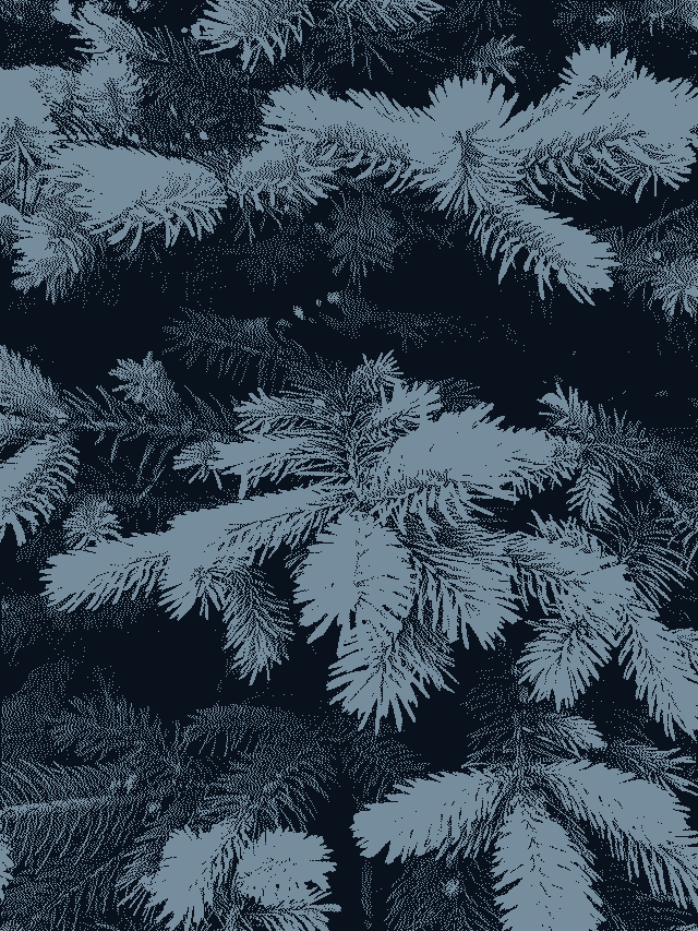 In this example, we add dithering to a PNG image of a coniferous tree and reduce the original color palette as much as possible to just two colors. The color reduction algorithm analyzes the image and finds that the two most popular colors are the conifer-green and silver-white and these are the two colors that go in the new quantized color palette. The dithering method that we use is Floyd-Steinberg and it takes the two colors in the color palette and scatters pixels in such a way to recreate as many details of the original PNG as possible. The dithering algorithm itself is independent of the color palette, which is created via quantization in the previous step. (Source: Pexels.)
