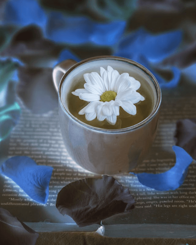 In this example, we create an spellbinding visual effect by selecting a circular shape for the color reversal and inverting the selection area. In the input editor, we interactively wrap the outline of a teacup with a flower in an oval and reverse the colors outside of the selection. As a result, we get a picture of a magic potion on a book with white glowing letters. (Source: Pexels.)