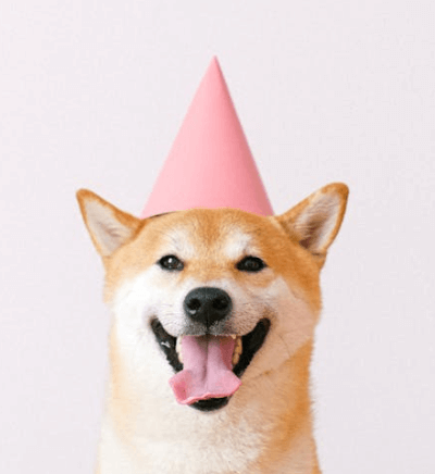 This example shows how to make an awesome animated birthday card for a friend. We start with a pink background and add a message that reads "🎉🎉🎉 Happy Birthday! 🎉🎉🎉" in a Helvetica font. Then, using the "Top to Bottom Wipe" reveal mode, we slowly show the PNG of their favorite dog wearing a party hat. The animation contains 50 frames, plays for 8 seconds, and repeats exactly 3 times. (Source: Pexels.)