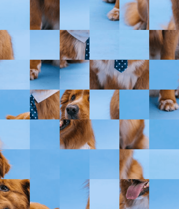 In this example, we divide the PNG image of a brown dog into blocks of 100×100 pixels and randomize their positions. In the input preview area, the blocks are divided with black dashed lines, and the incomplete blocks on the right and bottom are removed. We randomize 100% of the blocks in both rows and columns, creating a scrambled puzzle of the original dog. (Source: Pexels.)