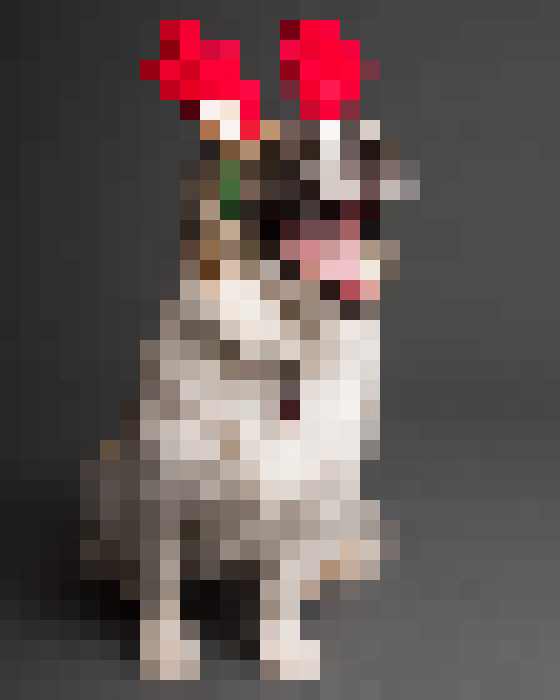 In this example, we upload a funny PNG image of a dog with a reindeer headband and split it into large pixel blocks, creating a pixelation effect. To do it, we set the block size to 20 pixels, creating a tiled PNG with a tile size of 20×20 pixels. To keep blocks in place, we select the "Do Not Sort" mode. (Source: Pexels.)