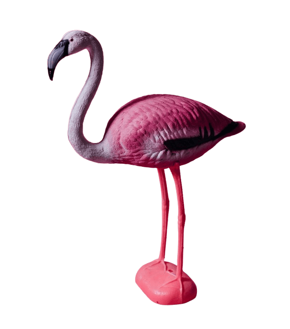 This example converts a multi-color PNG sticker (PNG image with a transparent background) of a flamingo into a single-color stamp featuring only the silhouette of the same flamingo, painted in a medium violet color. To do it, the tool essentially splits the image into two parts: the transparent background of the stamp becomes the stamp background, while the opaque areas of the flamingo form the stamp impression. The stamp has a rectangular shape with rounded corners (the corner radius value is set to 200px). Additionally, the stamp has a low quality of 60% (meaning it simulates an old stamp with many defects) and it's rotated by -10 degrees (clockwise). (Source: Pexels.)