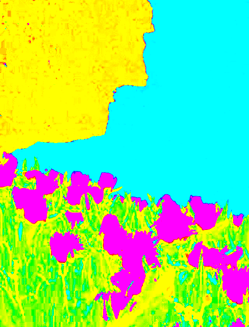 In this example, we extract the hue channel from a coastal landscape PNG and visualize the distribution of base colors in the image. The extracted hue data clearly segments various objects in the image. It highlights purple hues in the foreground flowers, green hues in their leaves, aqua tones in the ocean, and yellow-orange hues in the rocky background. Because only the hue component is shown, the output displays the color type regardless of how saturated or bright each area is. (Source: Pexels.)