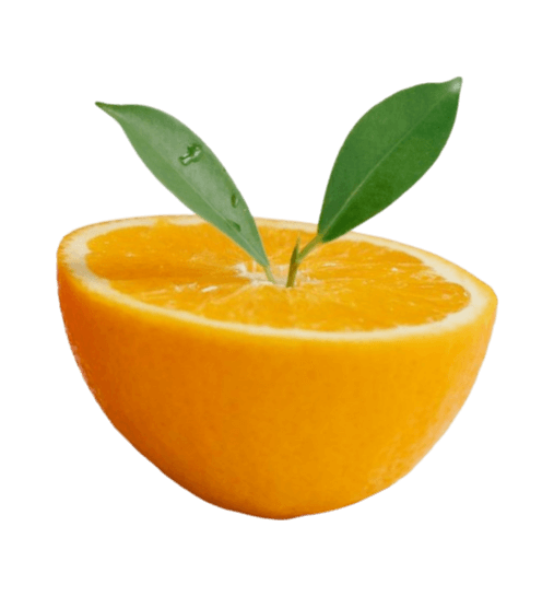 In this example, we center an image of half an orange within its original PNG dimensions. We align the object both horizontally and vertically without applying any additional offset. (Source: Pexels.)