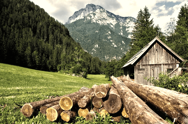 In this example, we enter the value 50% in the sepia effect strength option. This 50% sepia effect is then applied to a PNG photo of a log house in the mountains. As it's just a partial sepia effect, the pixels of the original photo are mixed with sepia color tones. To apply this effect to the entire area of the photo, we left the x, y, with, and height parameters blank, which allowed the program to automatically modify the entire PNG area. (Source: Pexels.)