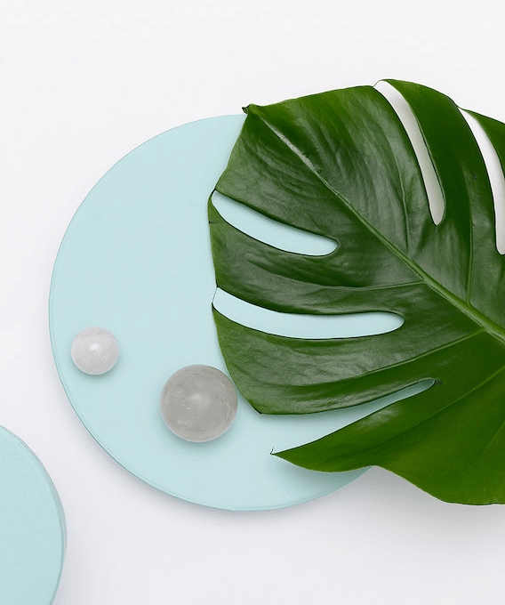 In this example, we extract the monstera leaf from a PNG image. We select the desired color by clicking on the leaf in the input preview area and set the leaf's color threshold to 35% because it has many shades of green color. In the output, we get only the green leaf and it's painted on a transparent background. (Source: Pexels.)