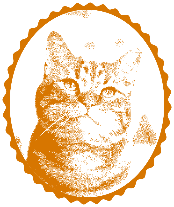 In this example, we show how to generate a highly detailed digital stamp of our beloved orange cat. We upload a JPG picture of the cat and convert it into a circular PNG stamp with a wavy 30-pixel border. To make the texture look exceptionally detailed, we enable the dithering effect using the Sierra Lite algorithm. This algorithm gives the stamp individual pixel shading. We also add margin of 10 pixels around the stamp and select a dark orange color for the imprint. This stamp design works great for fun projects like pet scrapbooks and stickers. (Source: Pexels.)