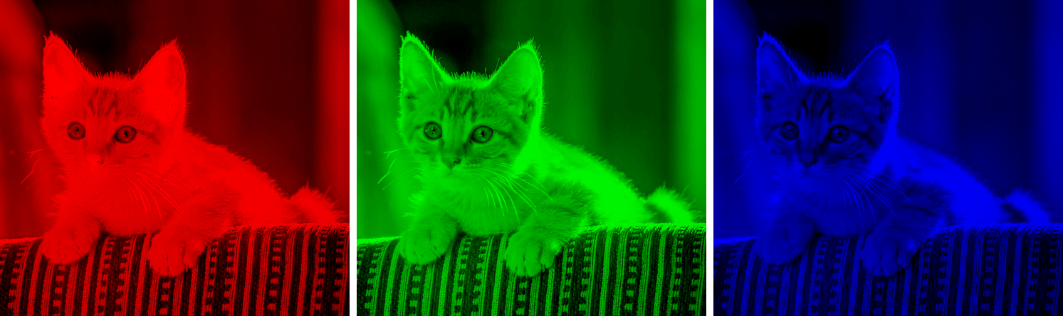 In this example, we simultaneously extract the Red, Green, and Blue channels from a PNG photo of an orange kitten getting some sun. If we blend the pixels of these three channels together, we get the original PNG. When mixed, the brightest pixels give the white color, and mixing other pixels in the correct proportions produce the original colors of the input PNG. (Source: Pexels.)