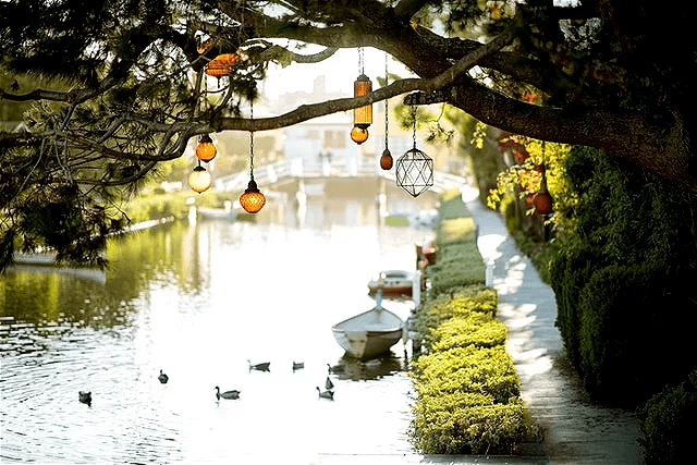 In this example, we create a PNG of the highest quality. We set the quality percentage to 200% and as a result, the pendant lamps, bushes, trees, and the river acquire rich colors, deep shadows, and crisp details. (Source: Pexels.)