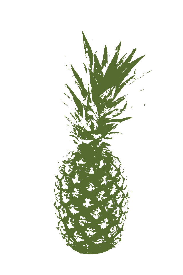 In this example, we convert a PNG photo of a pineapple into a single-color stencil-like stamp. We select the "Rectangular Crop" mode and place the crop area over the entire photo, creating a stamp of the same size as the input. To preserve maximum detail, we increase the light match precision to 145%, which emphasizes lighter pixels and discards shadows. For the stamp's color, we select the pineapple crown's color (dark-olive-green). The result is a clean and detailed pineapple imprint without a border. (Source: Pexels.)