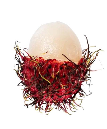 In this example, we generate an alpha mask of the transparent background of a PNG of an exotic fruit (the rambutan). The output mask has the classic format, showing full transparency in black and full opacity in white. Additionally, the feather pixels that are semi-transparent (with 0 < α < 1) are also displayed in black. (Source: Pexels.)