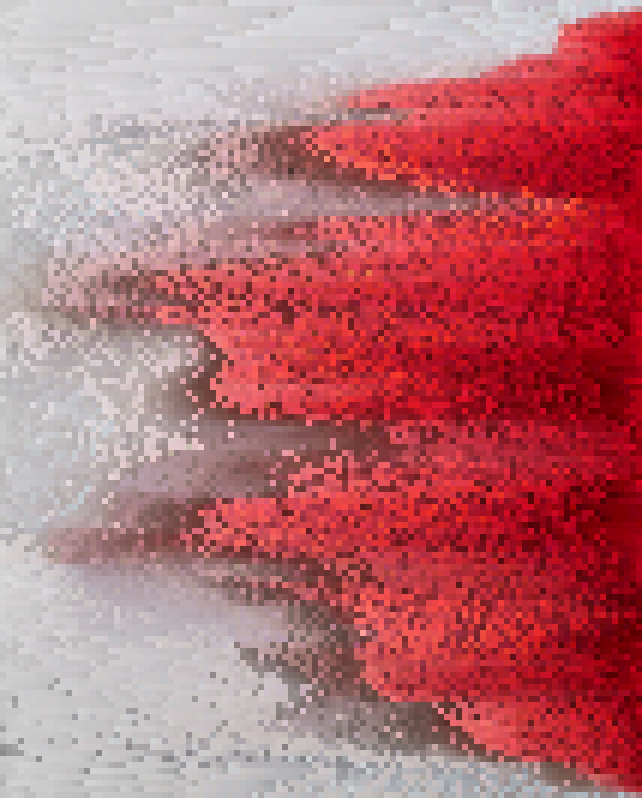 In this example, we sort the pixels of a raspberry PNG image by their saturation. The PNG is divided into 6×6 pixel blocks, and each row is sorted separately in increasing order of saturation. This sorting method shifts all gray background pixels to the left while the richly saturated crimson tones of raspberries move to the right. (Source: Pexels.)