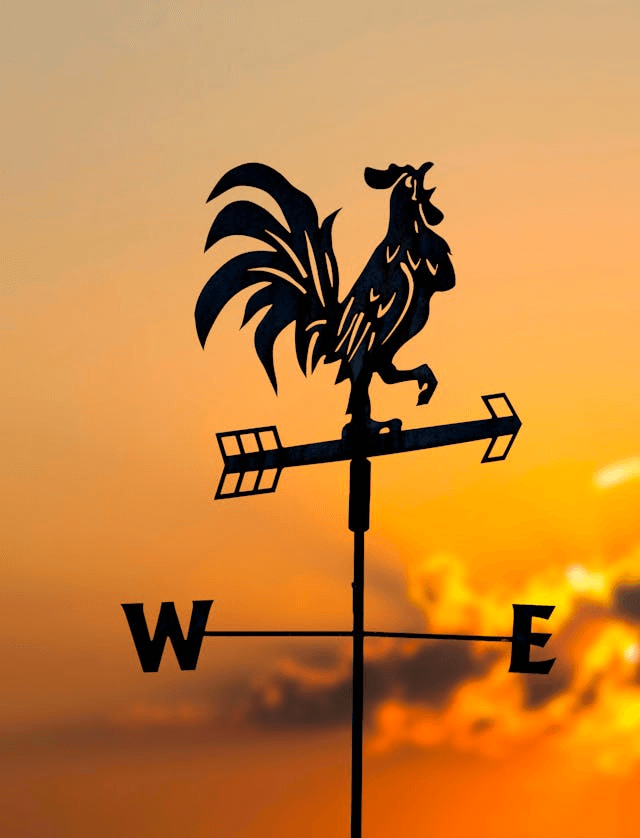 In this example, we use our tool to invert the orientation of a retro weathervane with a rooster at its apex, as captured in the given PNG photo. The tool creates a mirrored PNG version, altering its orientation from pointing to the right to pointing to the left, and swapping the east (E) and west (W) indicators as well. (Source: Pexels.)