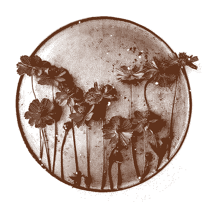 In this example, we create a stamp from a PNG image of a decorative floral composition. As the input image already has a circular shape, we choose not to add an extra border. Instead, we enable dithering using the Atkinson's method, which preserves the details of the flowers, shadows, and background by rendering them as variable density pixels. We set the ink amount used to 90% to introduce intentional missing ink gaps for a realistic look, and we use a dark brown color for the scattered pixels. (Source: Pexels.)