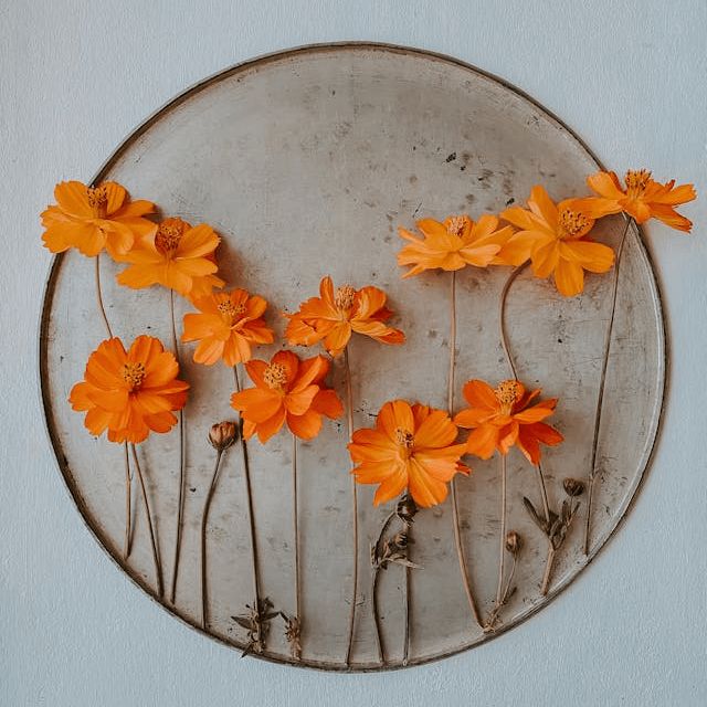 In this example, we create a stamp from a PNG image of a decorative floral composition. As the input image already has a circular shape, we choose not to add an extra border. Instead, we enable dithering using the Atkinson's method, which preserves the details of the flowers, shadows, and background by rendering them as variable density pixels. We set the ink amount used to 90% to introduce intentional missing ink gaps for a realistic look, and we use a dark brown color for the scattered pixels. (Source: Pexels.)