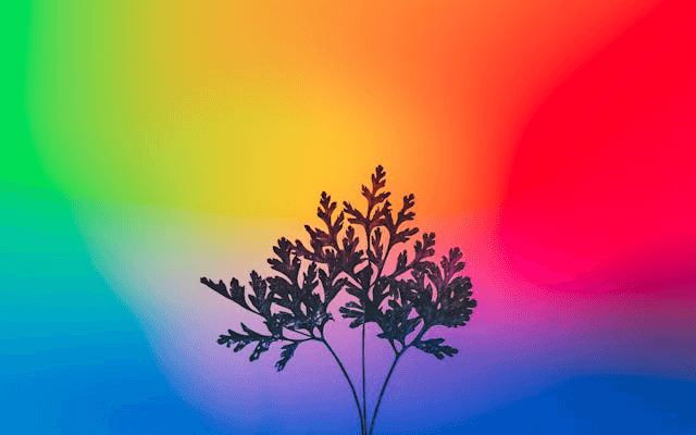 In this example, we upload a PNG silhouette of a tree on a multi-color gradient background and sort its pixels in rainbow order. We combine the pixels into blocks of size 4×4 pixels and sort the squares from top to bottom in the order red, orange, yellow, green, blue, indigo, violet, and black. (Source: Pexels.)