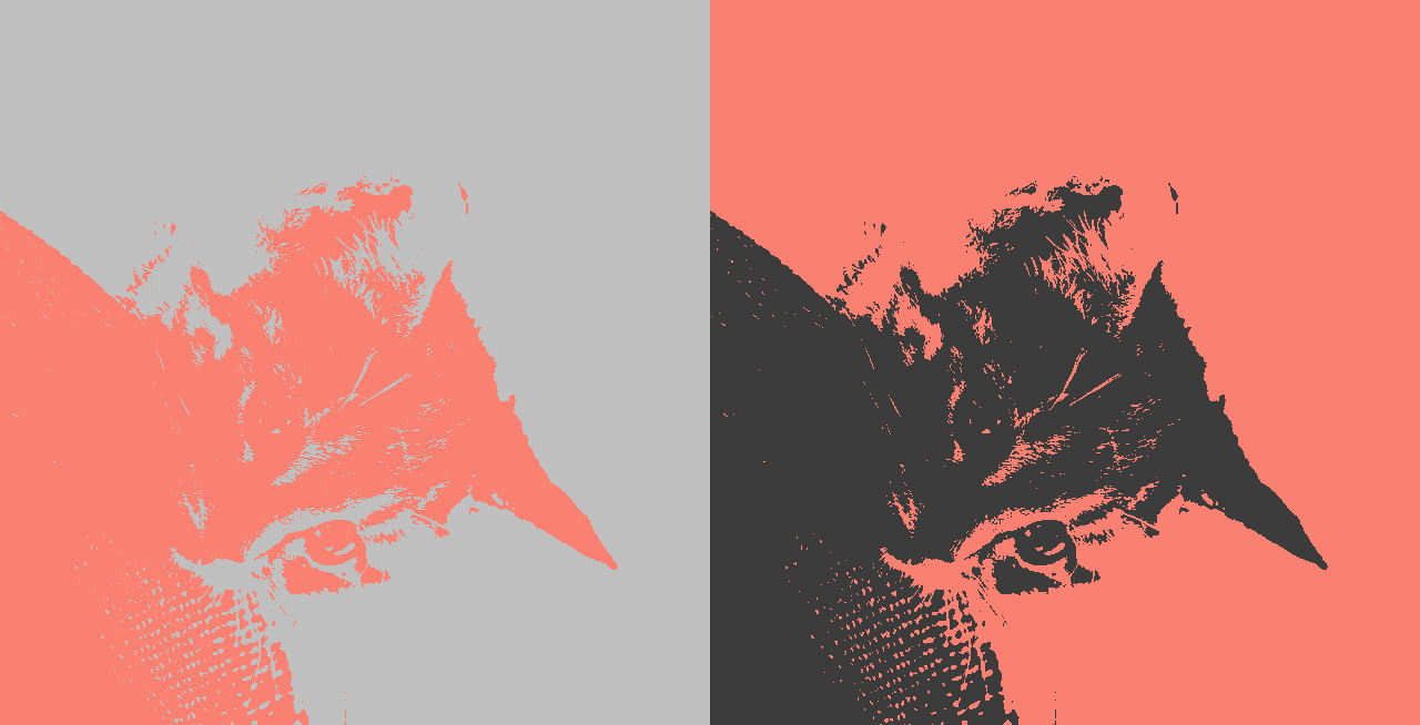 This example separates a grayscale PNG of a cat into two layers. It extracts colors using the quantization algorithm, which automatically identifies light gray and dark gray as the two dominant colors. It places the two layers side by side and fills the transparent areas with a salmon color. (Source: Pexels.)