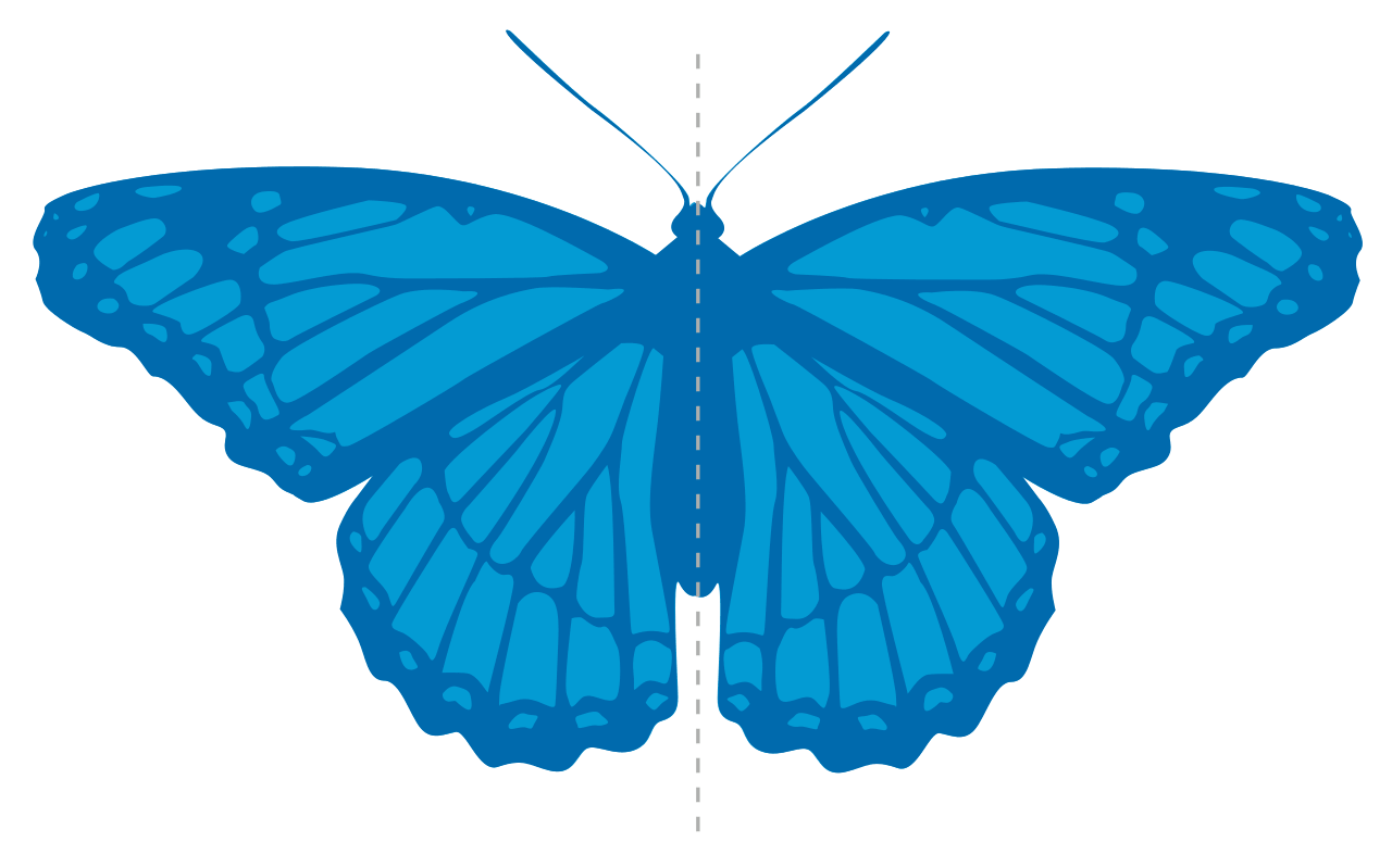 In this example, we create a mirror copy of a symmetric PNG of a butterfly. As the PNG is 100% symmetric along the central vertical axis (this type of symmetry is called bilateral symmetry), the flipped PNG remains the same. Talking mathematically, a bilaterally symmetric PNG is idempotent with respect to the horizontal flip operation.