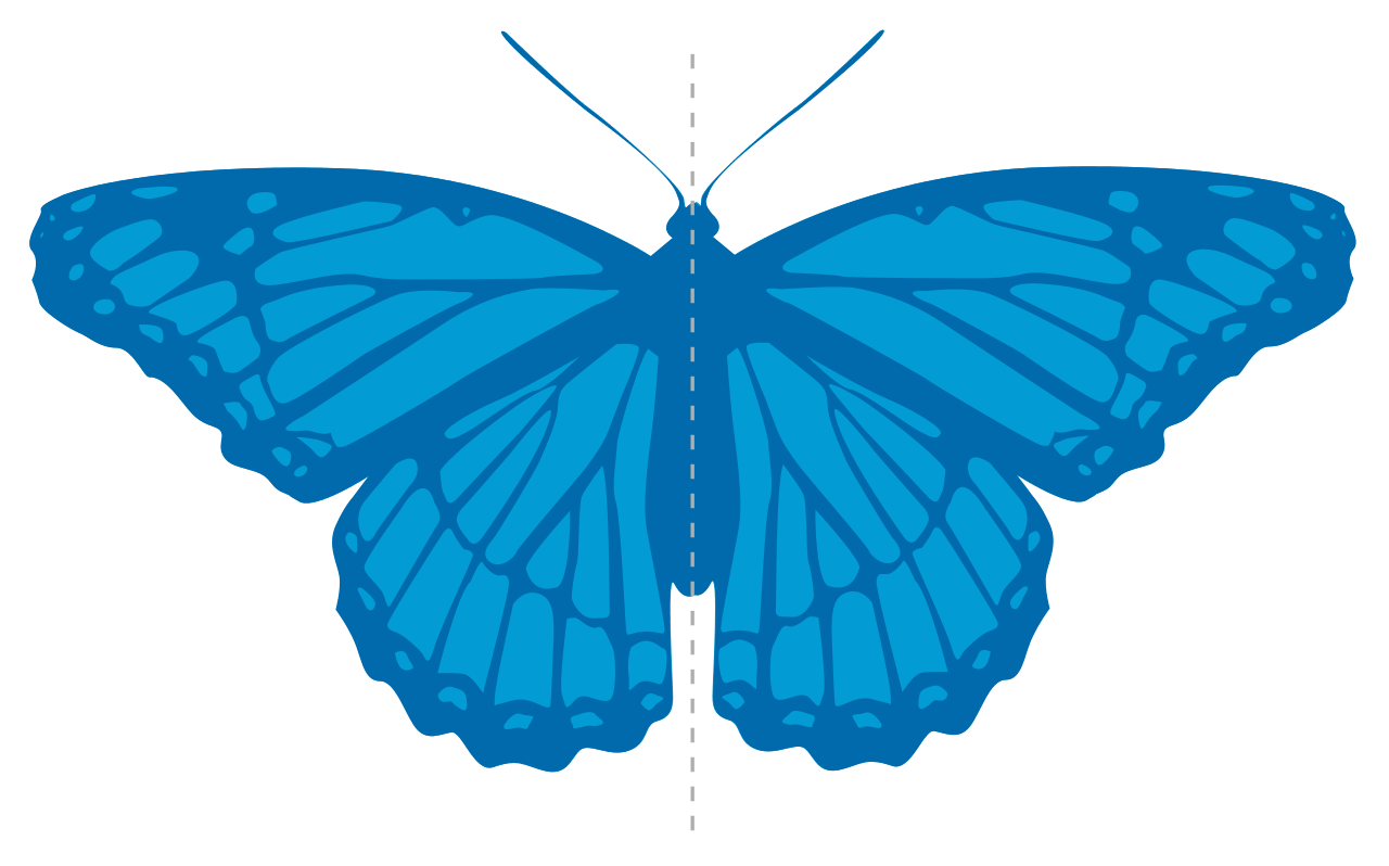 In this example, we create a mirror copy of a symmetric PNG of a butterfly. As the PNG is 100% symmetric along the central vertical axis (this type of symmetry is called bilateral symmetry), the flipped PNG remains the same. Talking mathematically, a bilaterally symmetric PNG is idempotent with respect to the horizontal flip operation.