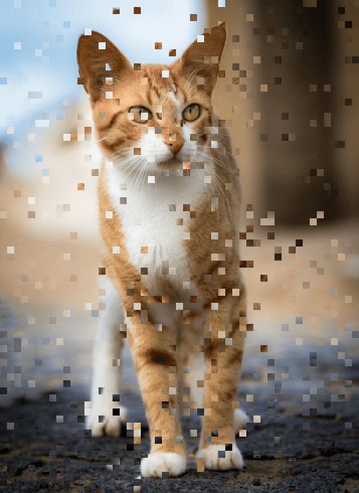 In this example, we create errors in a PNG image of a tabby cat by randomizing a small percentage of its pixels. We create pixel groups of size 10 by 10 pixels, set the probability of movement to 6%, and limit the maximum movement amplitude to 5 positions in all directions (left, right, up, or down). As there are incomplete blocks on the sides of the PNG, we stretch them to fill full block size. (Source: Pexels.)