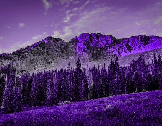 In this example, we set a single hue value for all pixels in a PNG background image. We use a new hue angle of 270 degrees, which represents a blue-magenta color. As a result, we get a PNG image of mountains, trees, and a grass field painted in a dark purple tint. (Source: Pexels.)