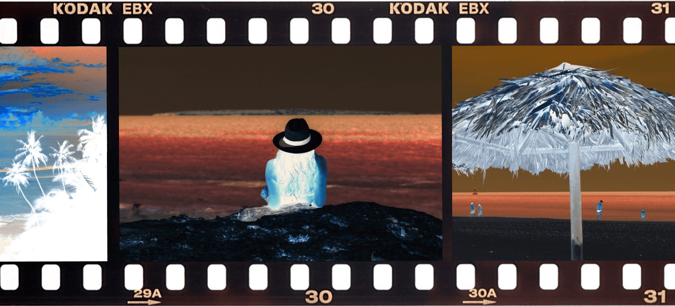We found an old photo negative and we wanted to see what's on it. We loaded it in our utility and selected the central frame. The program inverted all the colors in the negative, and now we can see that it's a vacation photo, and it's in real colors. (Source: Pexels.)