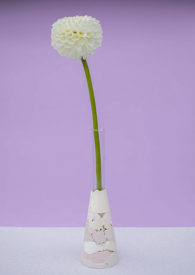 In this example, we transform a vertical PNG of a flower in a vase to a horizontal PNG. To create the most realistic effect, we use the edge stretching method. We take 10 pixels from each side and continue the PNG to the left and right until the width is 896 pixels. (Source: Pexels.)