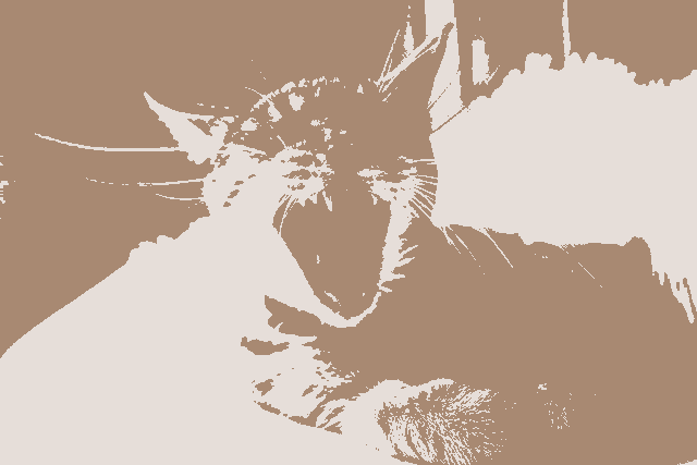 This example converts a multi-colored PNG image of a yawning cat into a PNG image made of only two color tones. The program analyzes the color palette of the PNG and automatically selects the two main colors for the output. They are the rosy-brown color and the gainsboro color, so the entire output image is displayed using only these two tones. (Source: Pexels.)