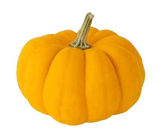 In this example, we extract the alpha channel from a PNG image of a yellow pumpkin, resulting in a three-colored alpha mask. The large black area represents the alpha channel with the value of zero, which corresponds to all fully transparent pixels in the PNG. The pumpkin-shaped white area in the center represents the alpha channel of 1, showing the fully opaque region in the PNG. The thin orange line between the white and black areas illustrates the alpha channel between 0 and 1, showing all semi-transparent pixels in the PNG. (Source: Pexels.)
